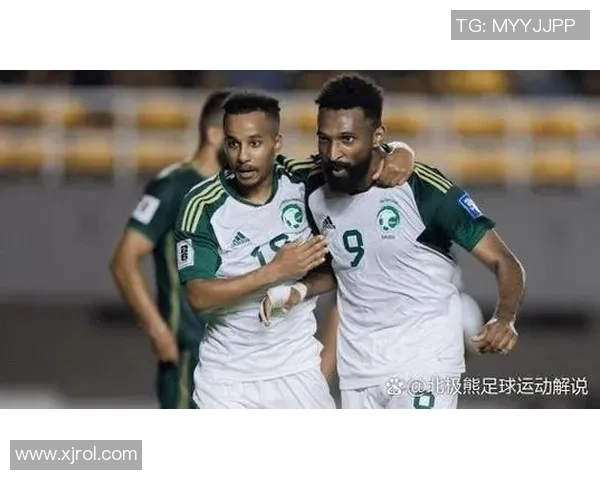 球星观赛美国足球比赛精彩瞬间解析与深度分析 球星观赛美国足球比赛精彩瞬间解析与深度分析